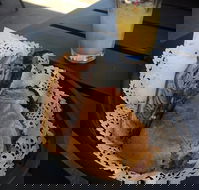 Clove Licensed Restaurant - Accommodation Whitsundays