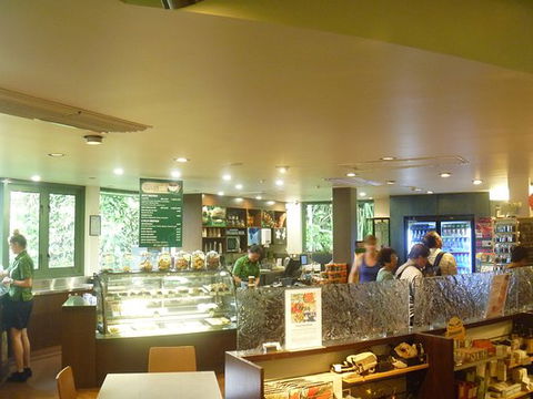 Skyrail Canopy Cafe - Accommodation Whitsundays 0