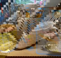 Spring Eats and Treats - Accommodation Whitsundays