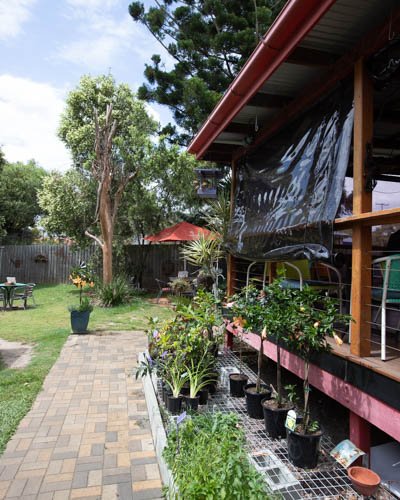 Braisen Hussy - Accommodation Whitsundays 1