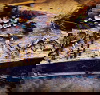 Driftwood Cafe - Accommodation Whitsundays