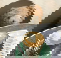 Felix Espresso and Wine Bar - Accommodation Whitsundays