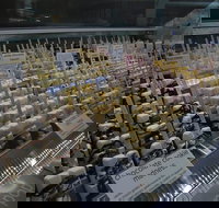 Happy Pops - Accommodation Whitsundays