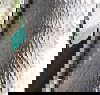 Hotel Tully - Accommodation Whitsundays