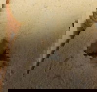 Sugarloaf Baking Co - Accommodation Whitsundays