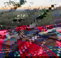 Bunnyconnellen Olive Grove  Vineyard - Accommodation Whitsundays