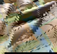 Mourilyan Bakery - Accommodation Whitsundays