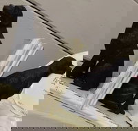 My Home - Accommodation Whitsundays