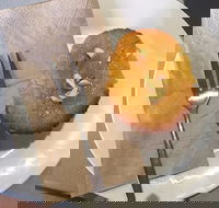 New Leaf Cafe Murwillumbah - Accommodation Whitsundays