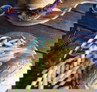 O'Reilly's Rainforest Retreat Dining Room - Accommodation Whitsundays