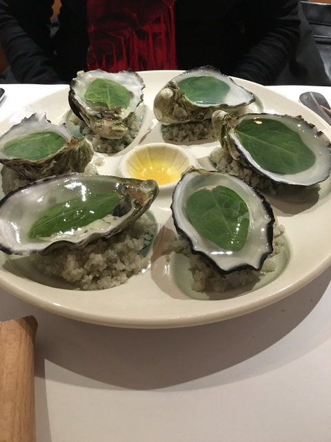 Philippe - Accommodation Whitsundays 2