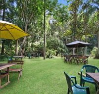 Rainforest - Accommodation Whitsundays