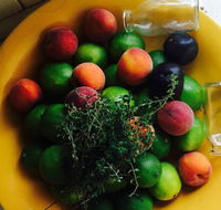 The Coffee Shoppe - Accommodation Whitsundays