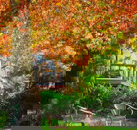 The Woods Ravensbourne - Accommodation Whitsundays