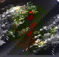 8days Cafe - Accommodation Whitsundays