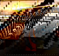 Zebra Bar Bistro - Accommodation Whitsundays