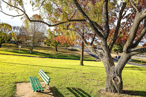 Comfort Inn City Centre Armidale - Accommodation Whitsundays 17