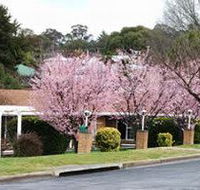 White Lanterns Motel - Accommodation Whitsundays