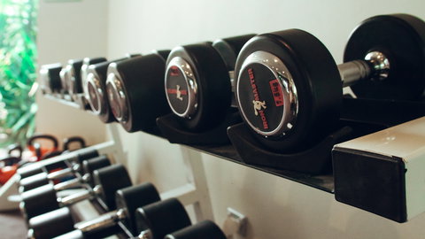 Holiday Inn Warwick Farm - Accommodation Whitsundays 13