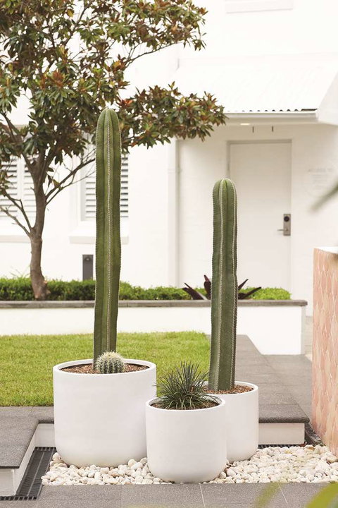 Adina Apartment Hotel Chippendale - Accommodation Whitsundays 0