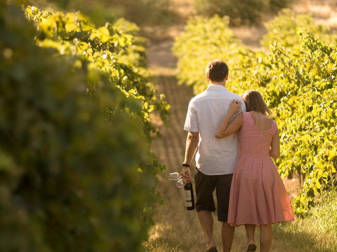 Novotel Barossa Valley Resort - Accommodation Whitsundays 1