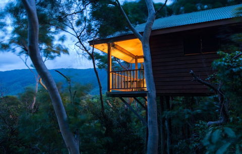 Thala Beach Nature Reserve - Accommodation Whitsundays 0
