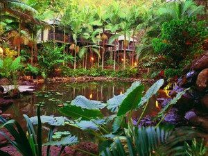 Daintree Eco Lodge & Spa - Accommodation Whitsundays 0