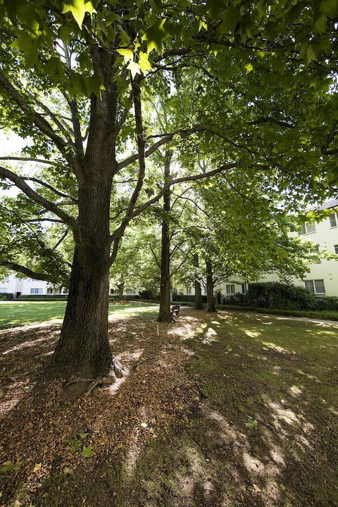 University House - ANU - Accommodation Whitsundays 28