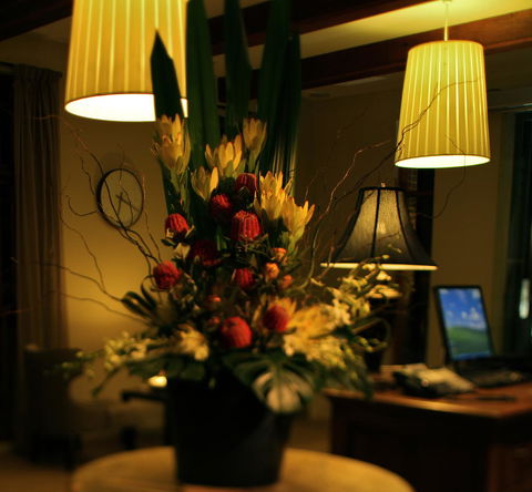 De Russie Boutique Hotel - Accommodation Whitsundays 26