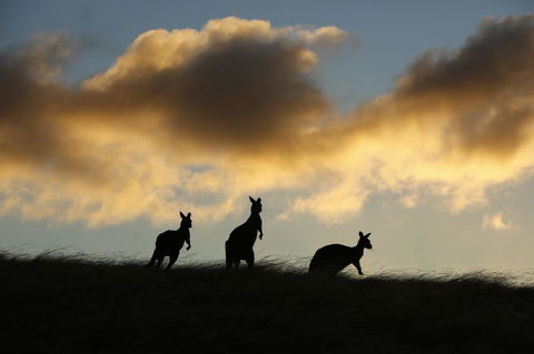 Sky House Kangaroo Island - Accommodation Whitsundays 37