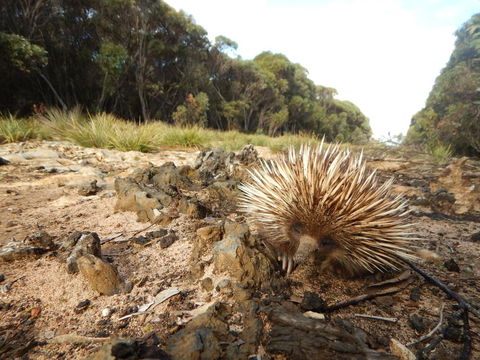 Kangaroo Island Wilderness Retreat - Accommodation Whitsundays 20