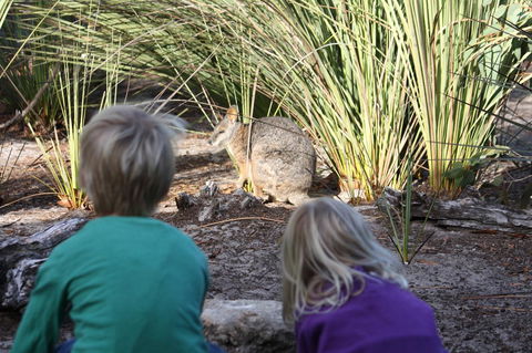 Kangaroo Island Wilderness Retreat - Accommodation Whitsundays 30