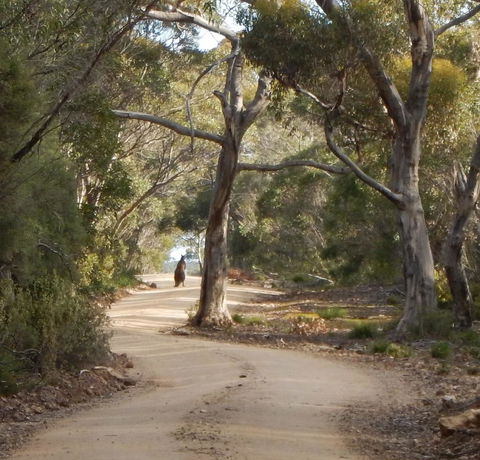 Kangaroo Island Wilderness Retreat - Accommodation Whitsundays 22