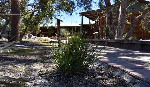 Kangaroo Island Wilderness Retreat - Accommodation Whitsundays 21