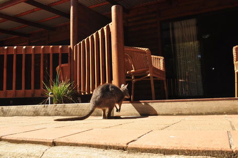 Kangaroo Island Wilderness Retreat - Accommodation Whitsundays 9