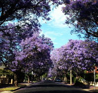 Monaco Court Apartment Adelaide - Accommodation Whitsundays
