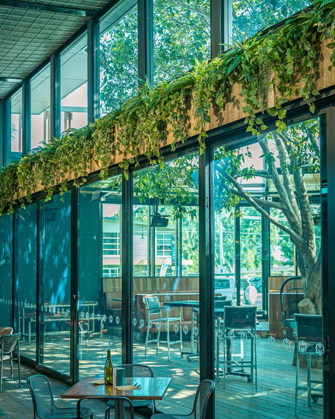 Marion Hotel - Accommodation Whitsundays 25