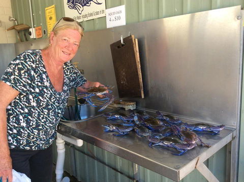 Ceduna Foreshore Caravan Park - Accommodation Whitsundays 28
