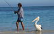 Ceduna Foreshore Caravan Park - thumb 21