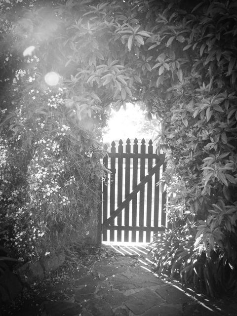 Haven Cottage Kangaroo Island - Accommodation Whitsundays 33