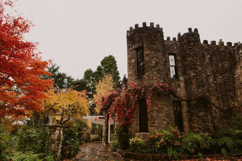 The Manor Basket Range - Accommodation Whitsundays 15