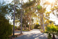 Book Tumby Bay Accommodation Vacations Accommodation Whitsundays Accommodation Whitsundays