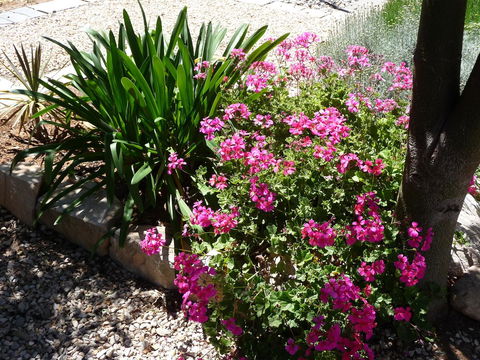 Country Bakehouse Accommodation - Accommodation Whitsundays 18