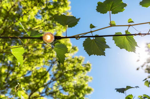 Adelaide Hills Retreats - Accommodation Whitsundays 32