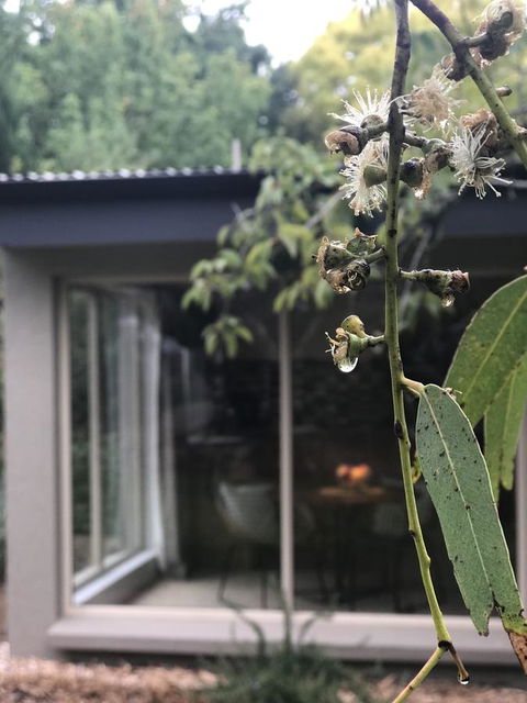Adelaide Hills Retreats - Accommodation Whitsundays 9