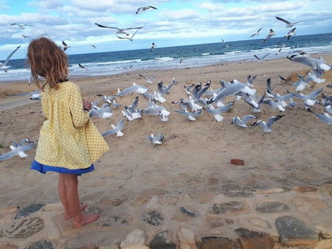 Moana Beach Tourist Park - Accommodation Whitsundays 9
