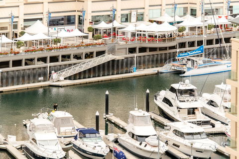Beachside Luxury & Comfort, Ocean Views In Glenelg - Accommodation Whitsundays 6