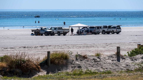 Wallaroo Holiday Park - Accommodation Whitsundays 9