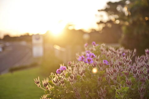 Kangaroo Island Seaside Inn - Accommodation Whitsundays 33