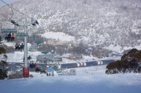 Snowy Gums Chalet - Accommodation Whitsundays 7